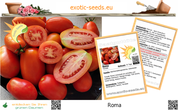 Tomate * Roma * 50 Samen